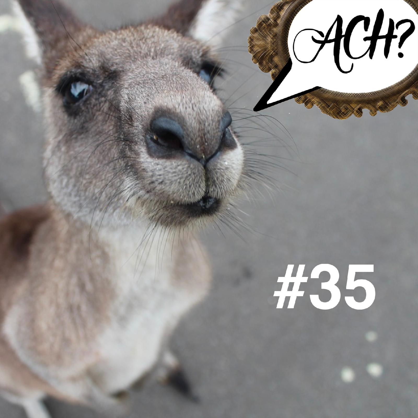 Ach-Podcast: 35 – Hans Bertrams höllischer Australien-Trip